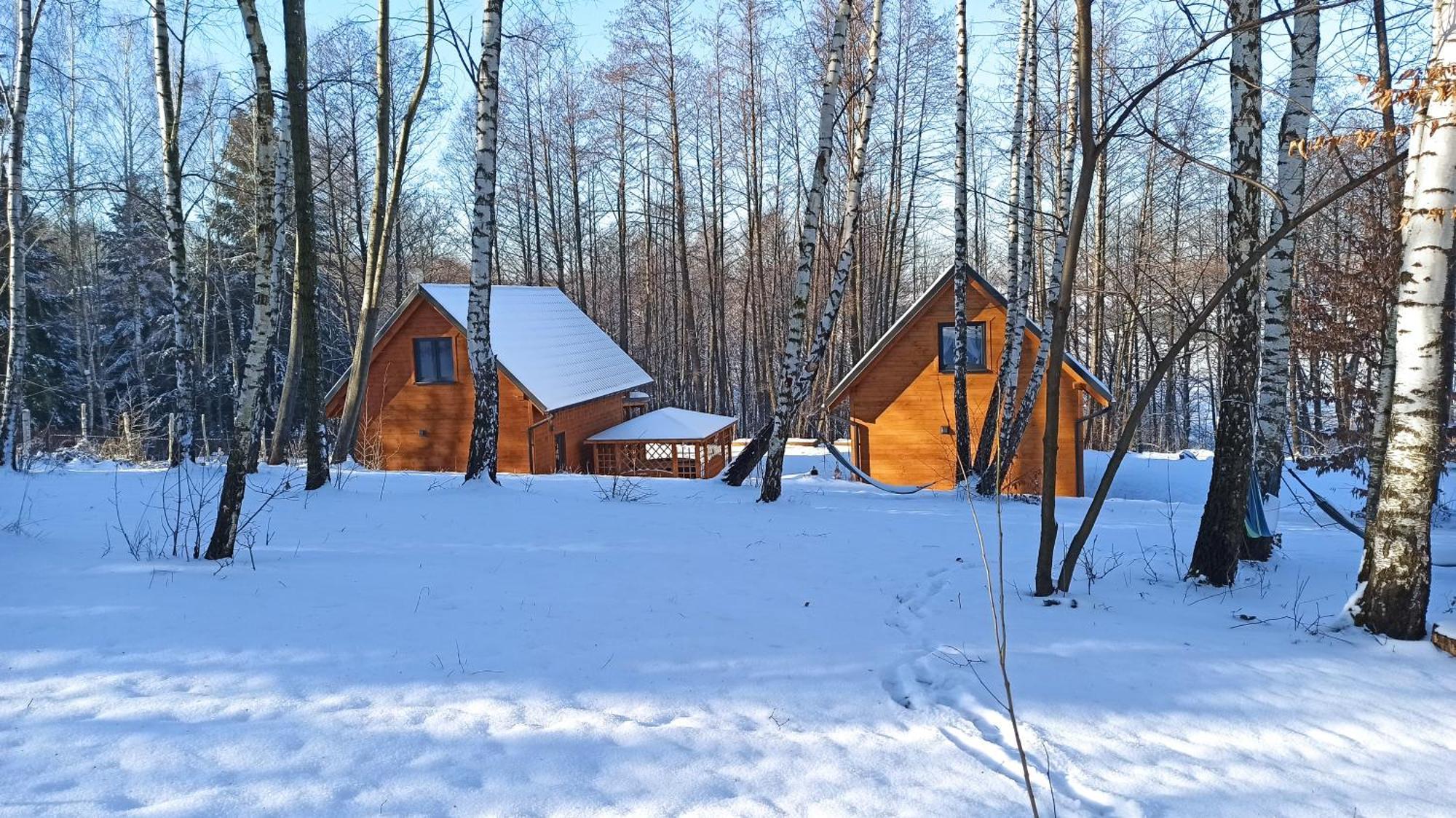 Las Lorien - Wynajem Domkow Letniskowych 2.0 Villa Roczyny Exterior foto