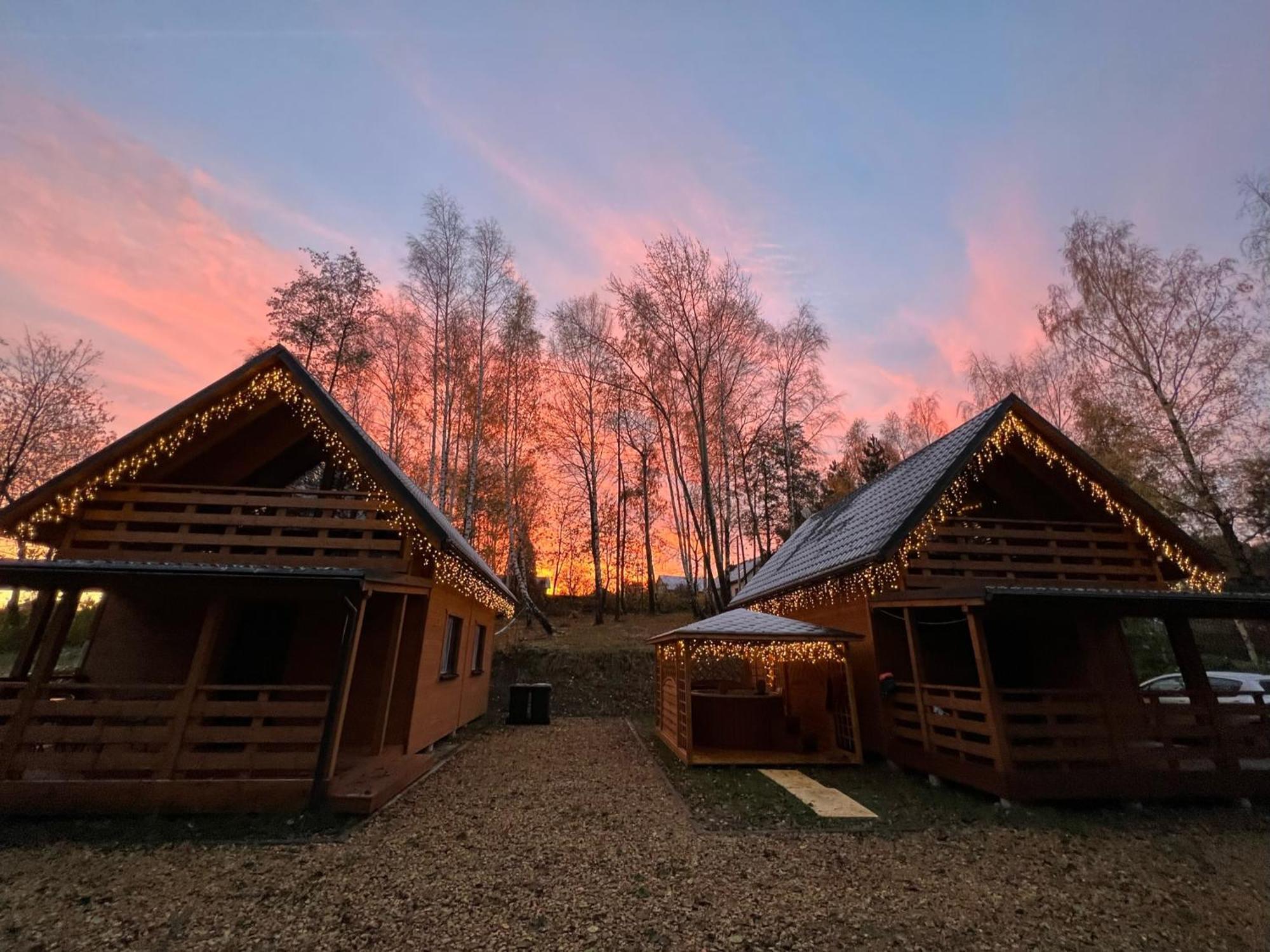 Las Lorien - Wynajem Domkow Letniskowych 2.0 Villa Roczyny Exterior foto